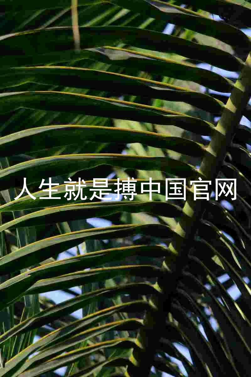 人生就是搏中国官网